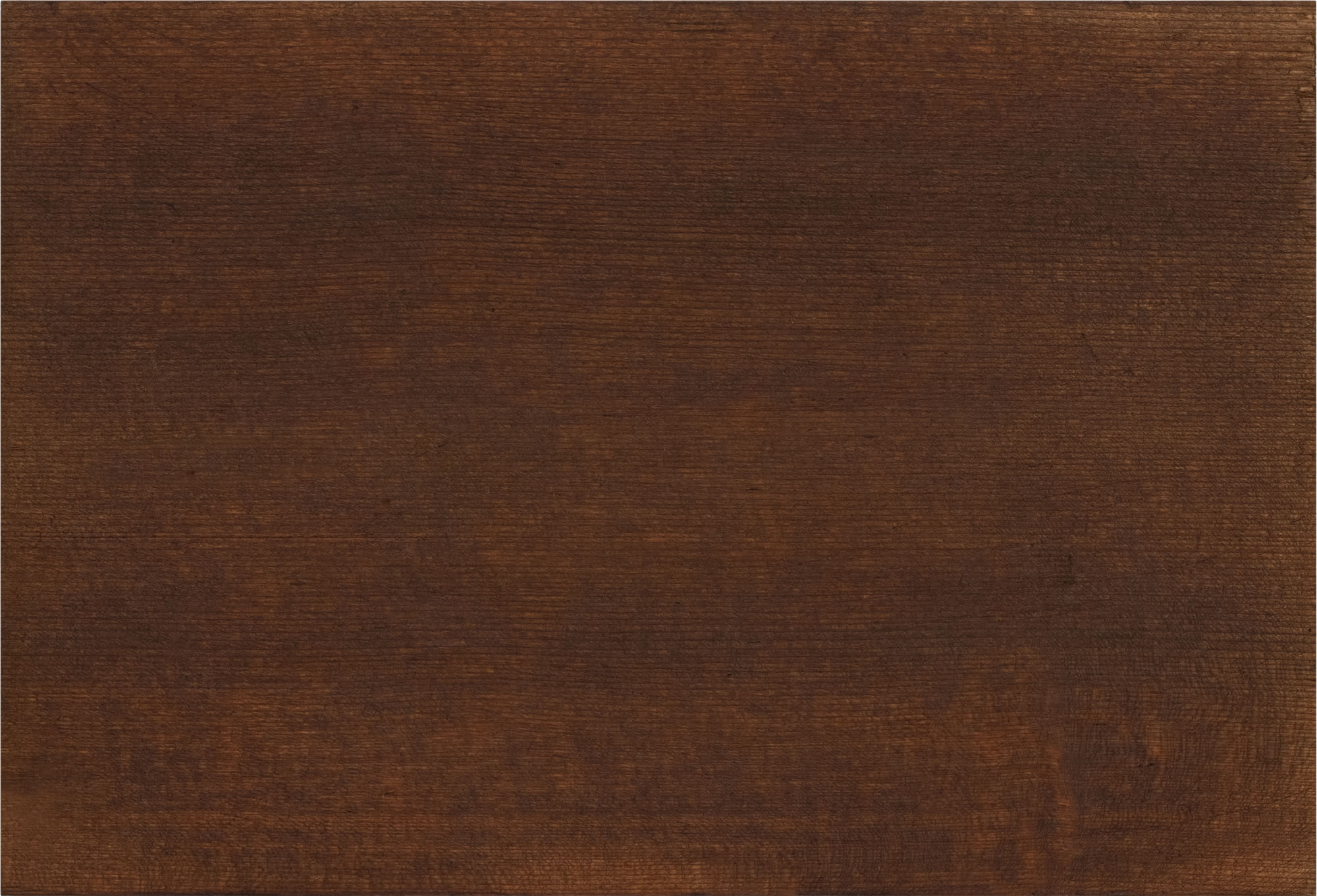 Dusky Brown