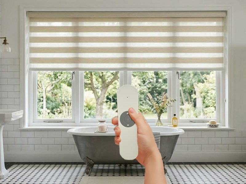 Zebra Blinds Remote